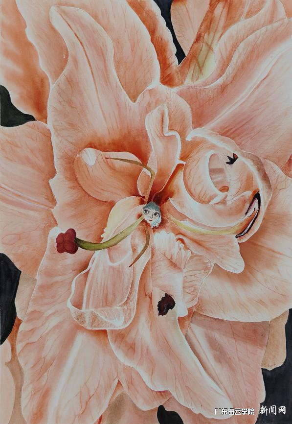 20250521171636673.png 20250521171636673.png