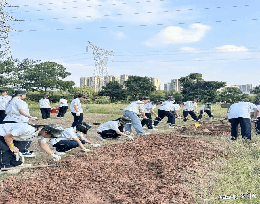 20241017163149458.png 20241017163149458.png