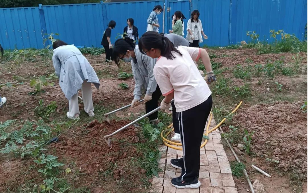 20230602100126530.png 20230602100126530.png