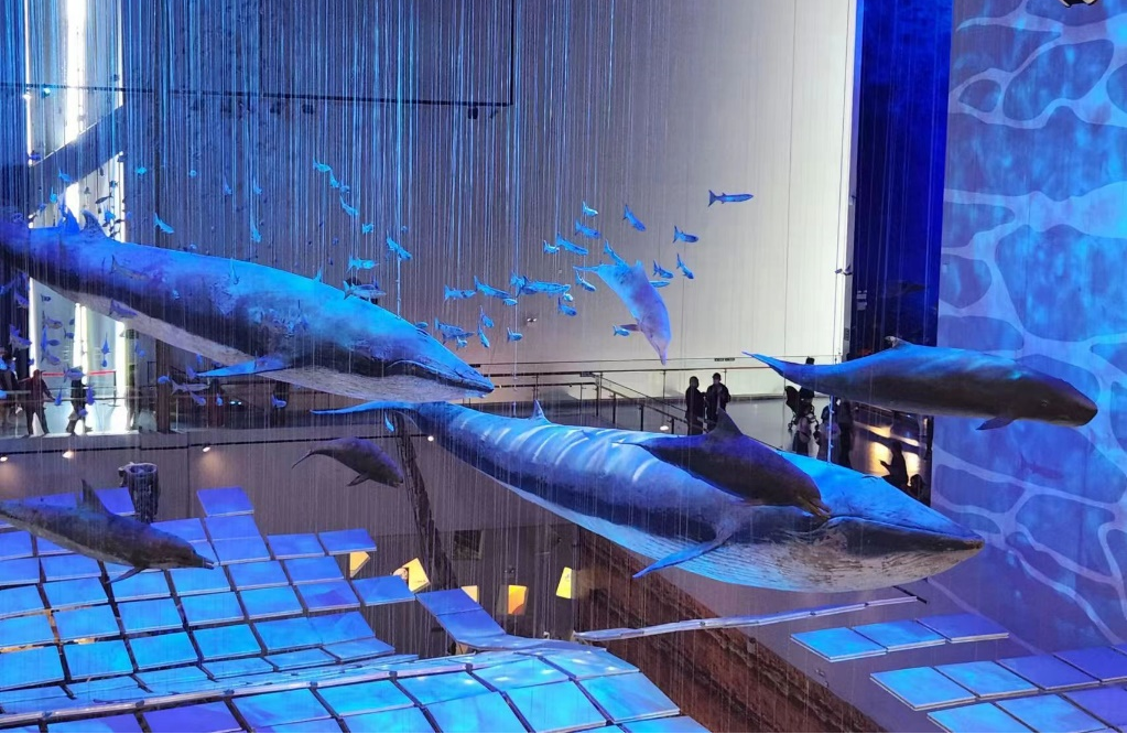 20240508114631606.png 20240508114631606.png